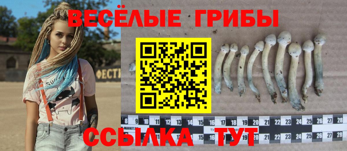 Псилоцибиновые грибы Magic Shrooms  Псилоцибиновые грибы Psilocybine cubensis  Вход с VPN  Озёры 